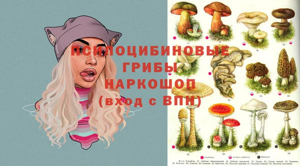 spice Коряжма