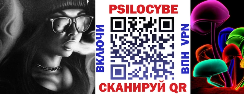 магазин продажи   Нерчинск  Галлюциногенные грибы Magic Shrooms 