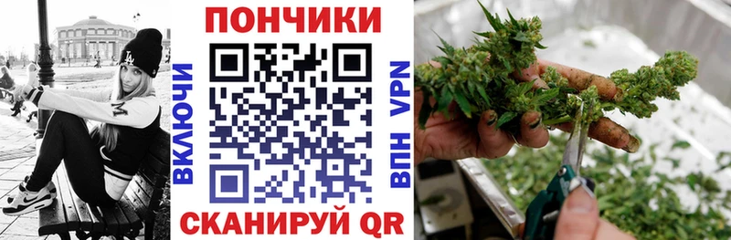 продажа наркотиков  Нерчинск  Шишки марихуана Ganja 